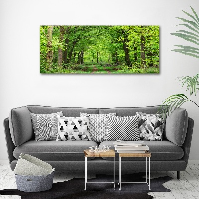 Tableau en acrylique Forêt de printemps