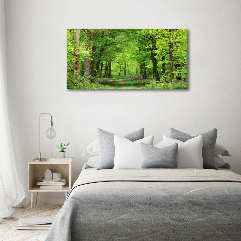 Tableau en acrylique Forêt de printemps