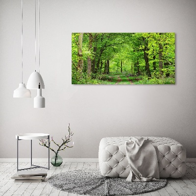 Tableau en acrylique Forêt de printemps