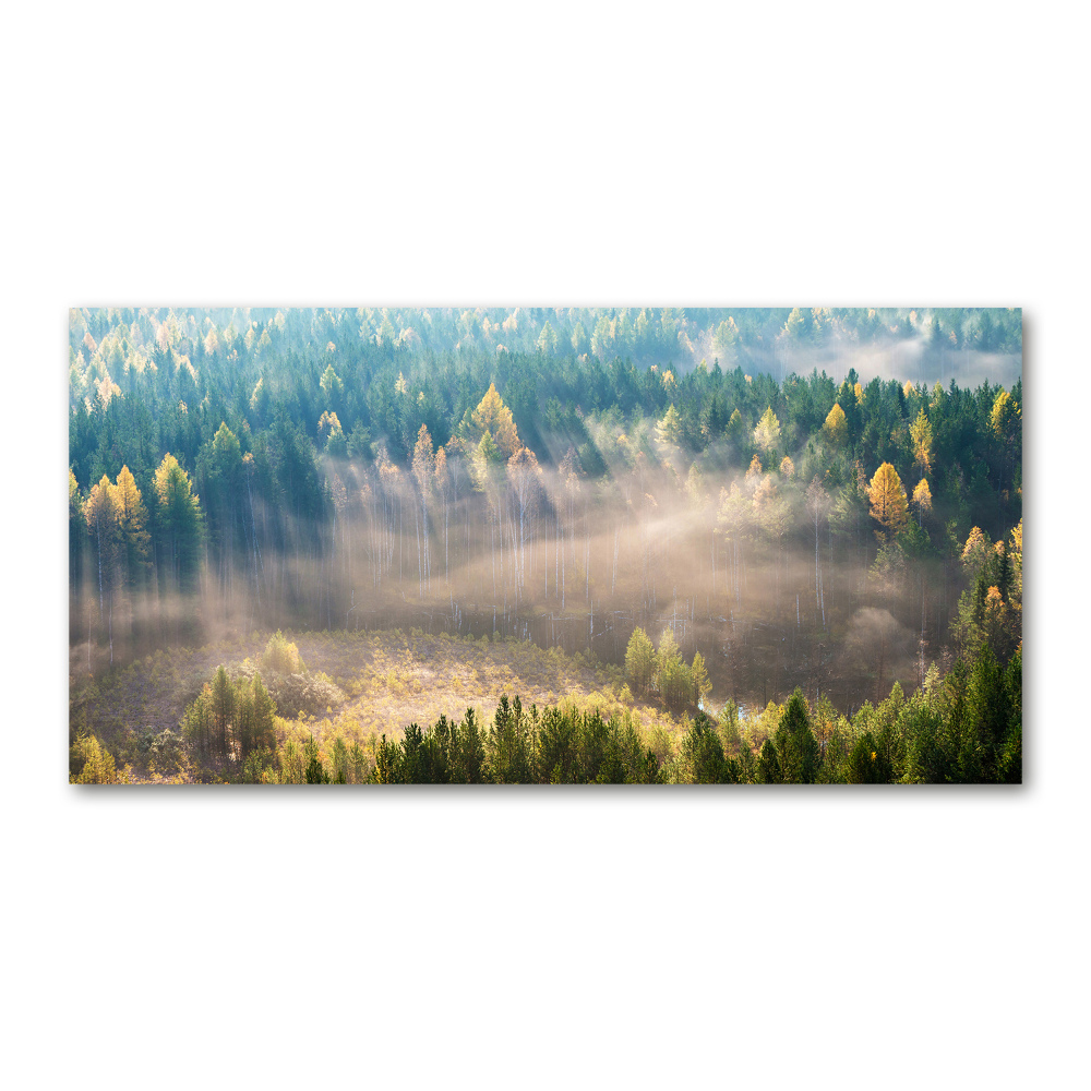 Tableau acrylique Le brouillard dans la forêt