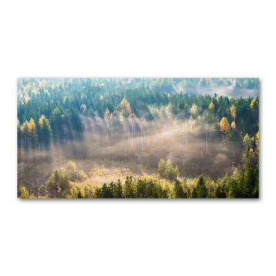 Tableau acrylique Le brouillard dans la forêt