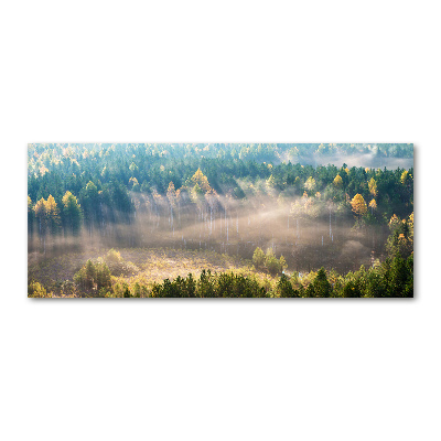 Tableau acrylique Le brouillard dans la forêt