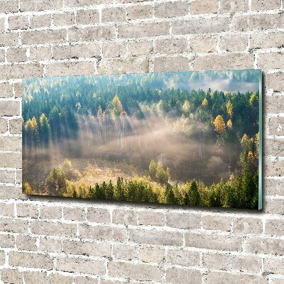 Tableau acrylique Le brouillard dans la forêt