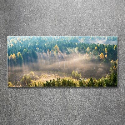 Tableau acrylique Le brouillard dans la forêt