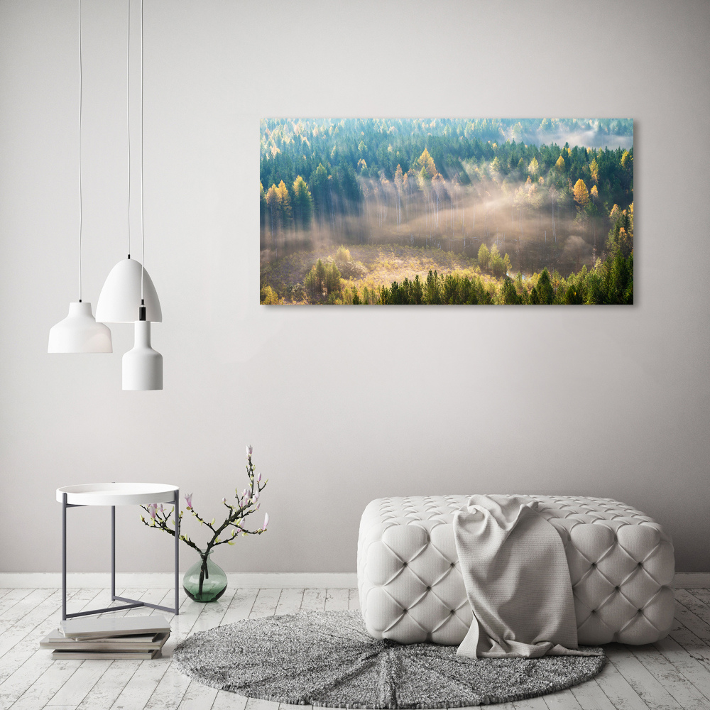 Tableau acrylique Le brouillard dans la forêt