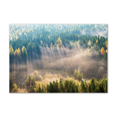 Tableau acrylique Le brouillard dans la forêt