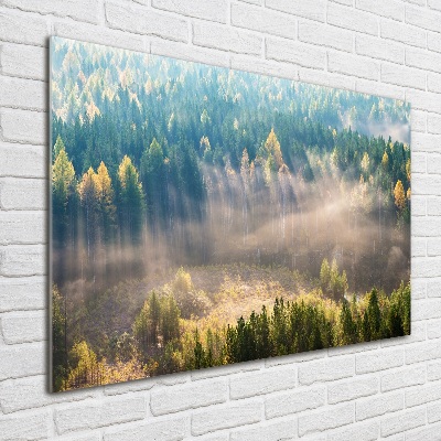 Tableau acrylique Le brouillard dans la forêt