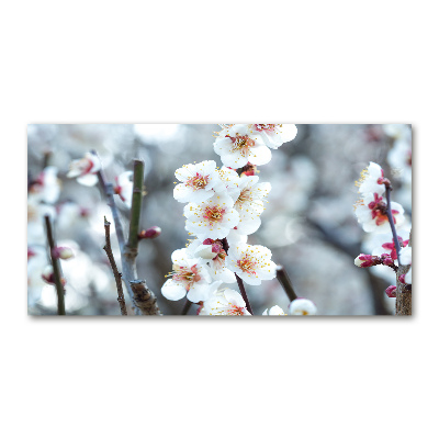 Tableau sur verre acrylique Fleurs de cerisier