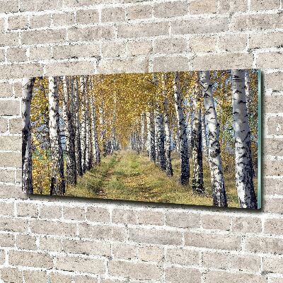 Tableau verre acrylique Bouleaux en automne