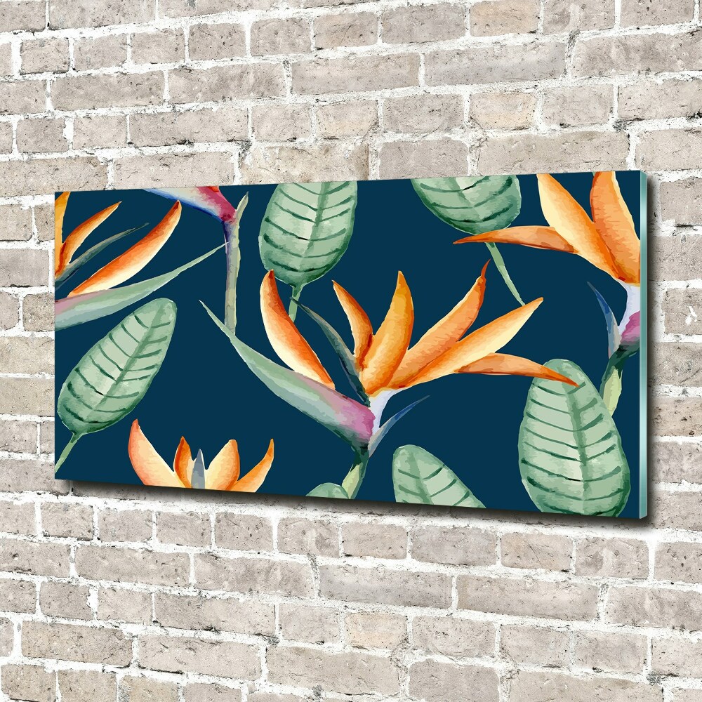 Acrylique tableau Strelitzia royal