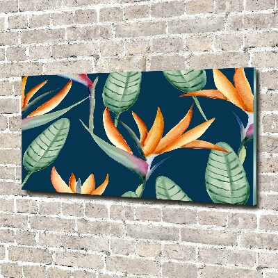 Acrylique tableau Strelitzia royal