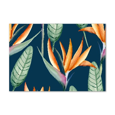 Acrylique tableau Strelitzia royal