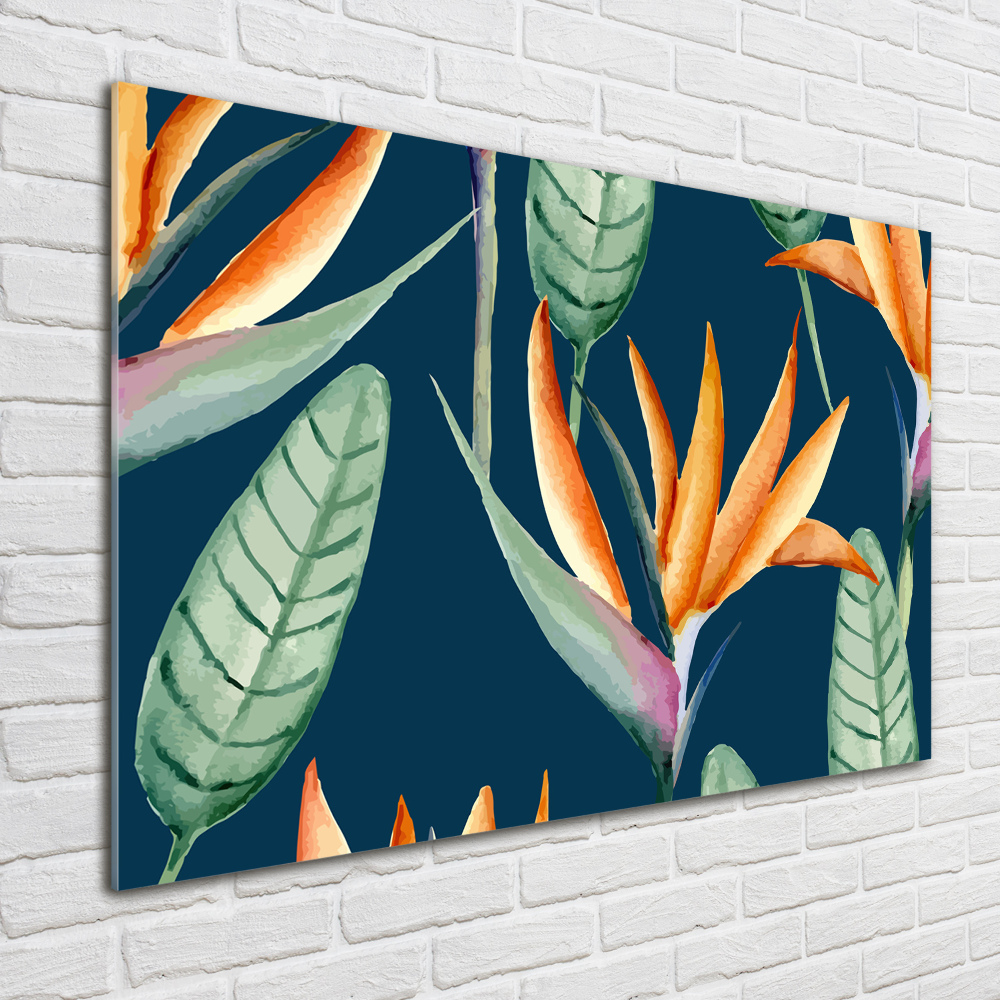 Acrylique tableau Strelitzia royal