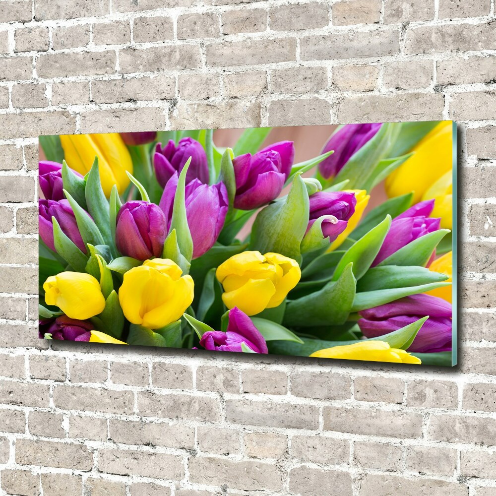 Tableau verre acrylique Tulipes colorées