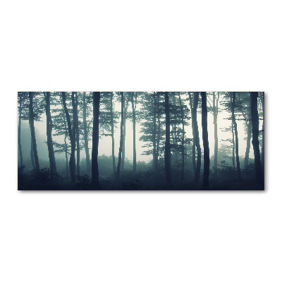 Tableau verre acrylique Forêt dans la brume