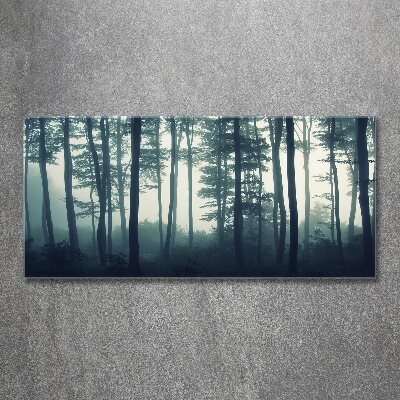 Tableau verre acrylique Forêt dans la brume