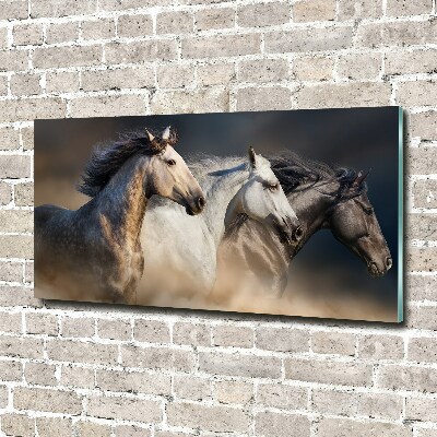 Tableau en acrylique Chevaux au galop