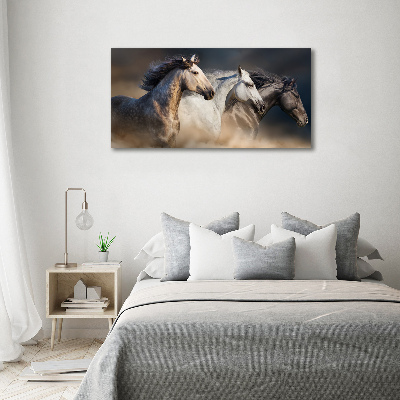 Tableau en acrylique Chevaux au galop