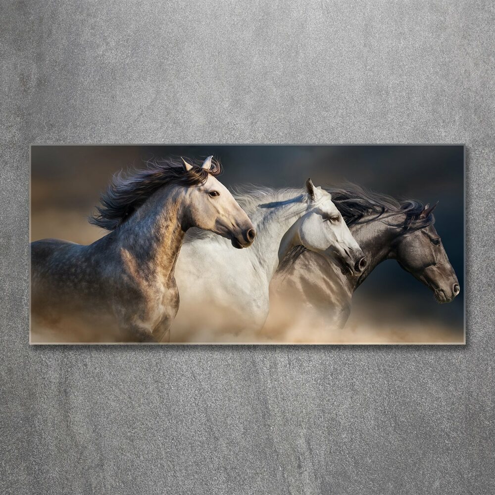 Tableau en acrylique Chevaux au galop