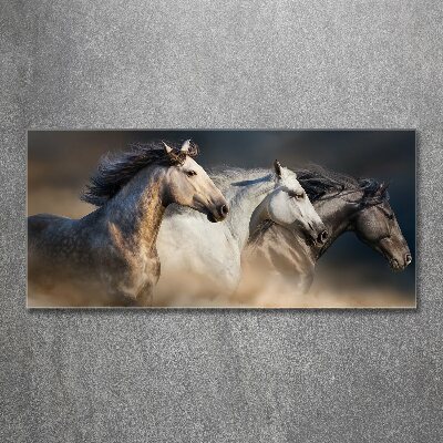 Tableau en acrylique Chevaux au galop