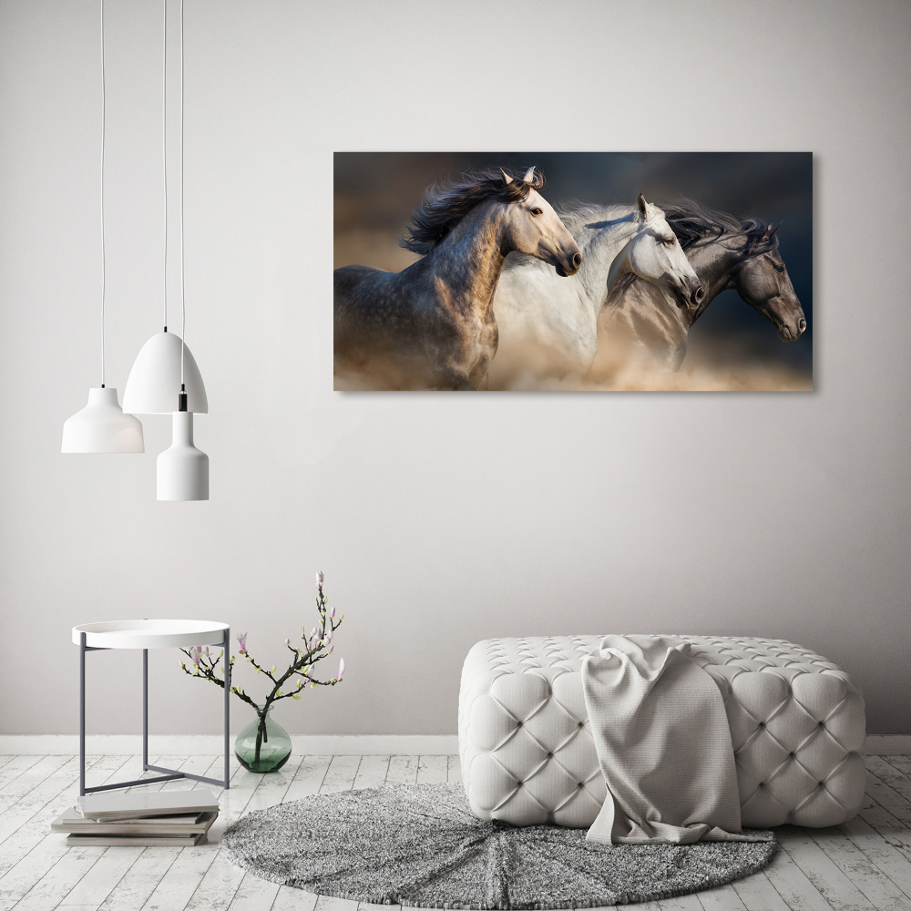 Tableau en acrylique Chevaux au galop