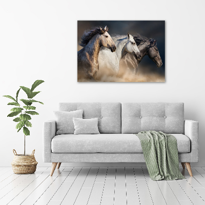 Tableau en acrylique Chevaux au galop