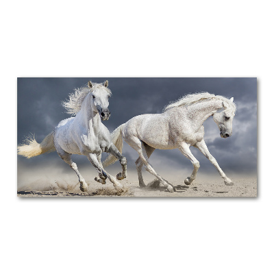 Tableau sur verre acrylique Plage des chevaux blancs