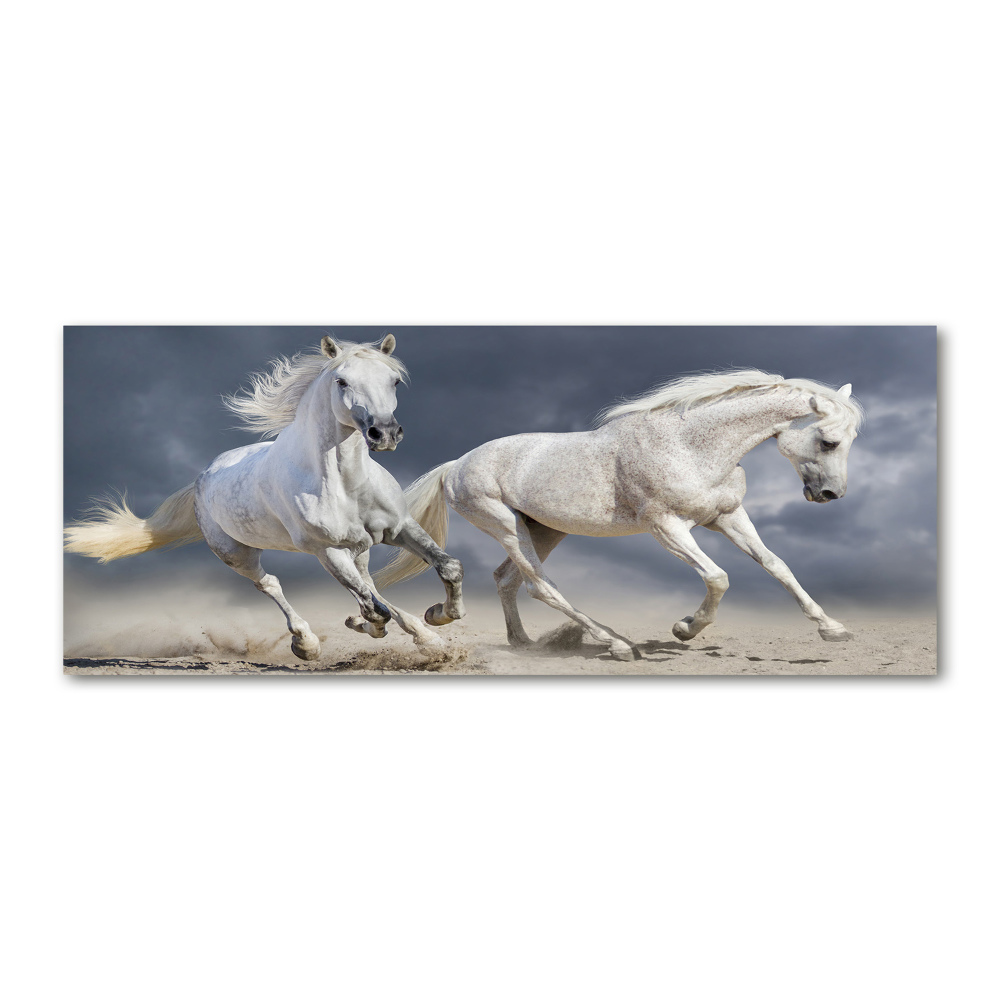 Tableau sur verre acrylique Plage des chevaux blancs