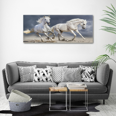 Tableau sur verre acrylique Plage des chevaux blancs