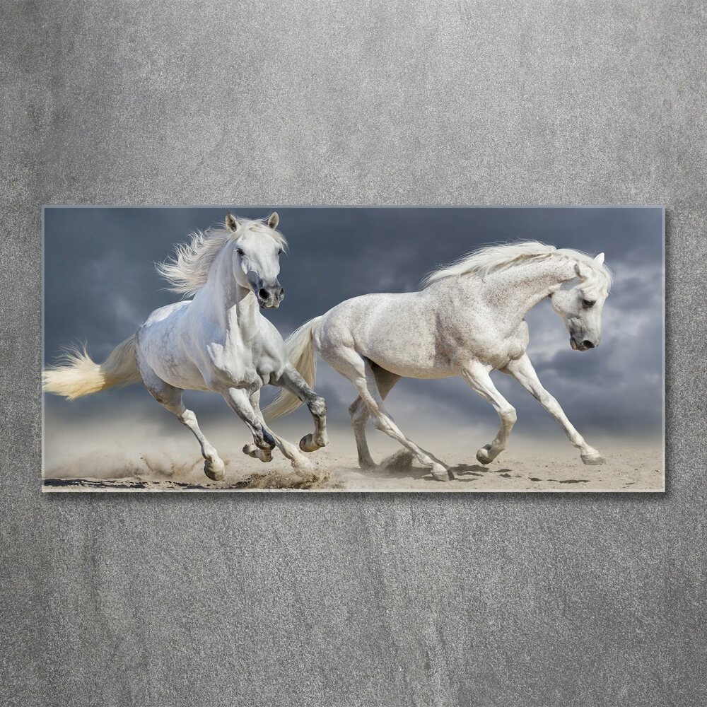 Tableau sur verre acrylique Plage des chevaux blancs