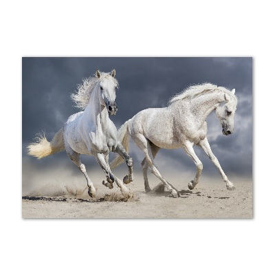 Tableau sur verre acrylique Plage des chevaux blancs