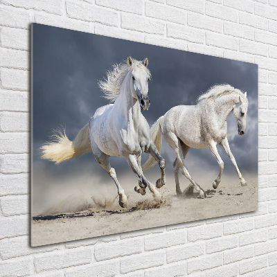 Tableau sur verre acrylique Plage des chevaux blancs