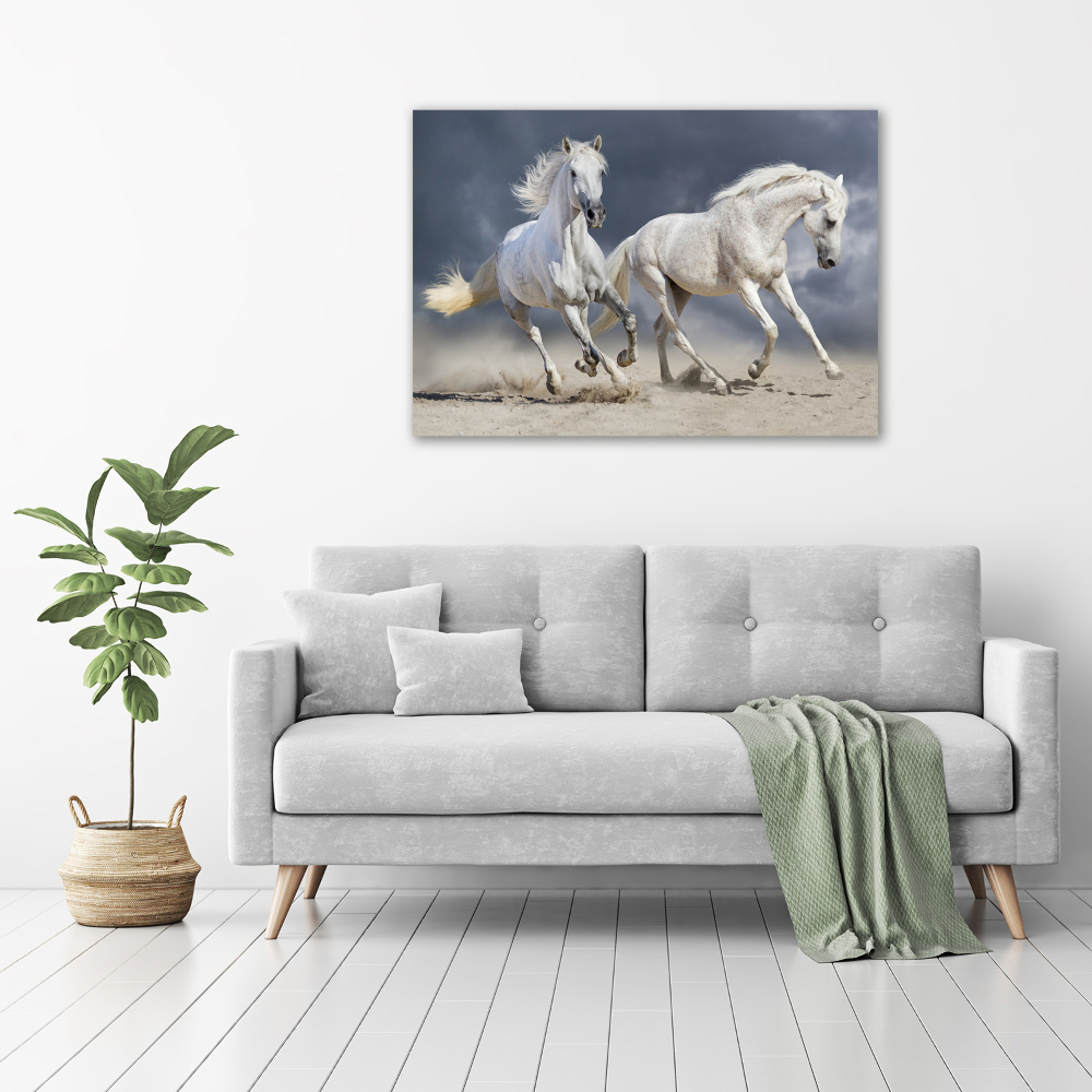 Tableau sur verre acrylique Plage des chevaux blancs