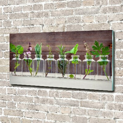 Acrylique tableau Plantes en pots