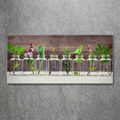 Acrylique tableau Plantes en pots