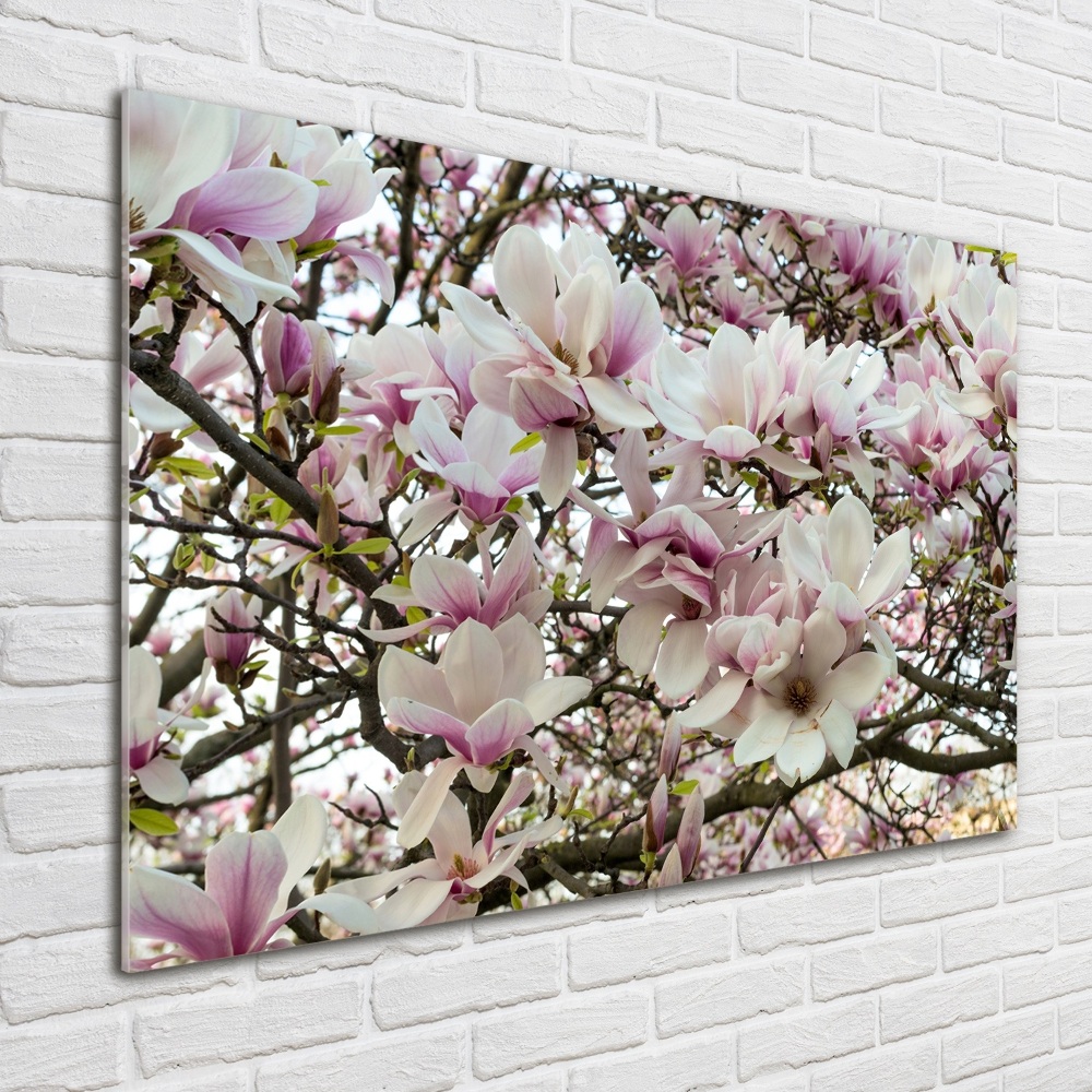 Tableau acrylique Fleurs de magnolia