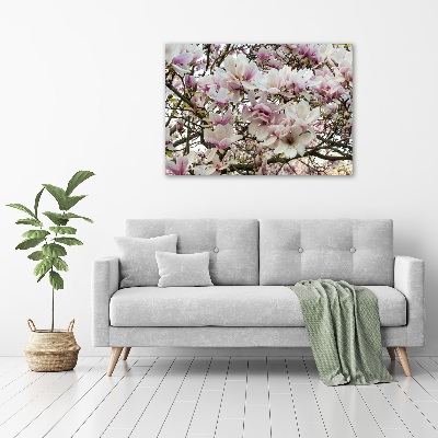 Tableau acrylique Fleurs de magnolia