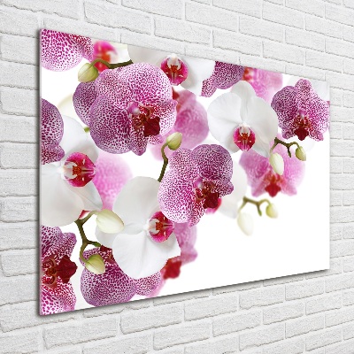 Tableau verre acrylique Orchidée plante