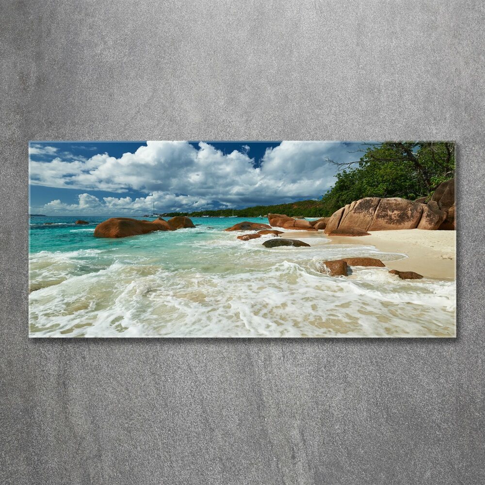 Tableau sur verre acrylique Plage des Seychelles