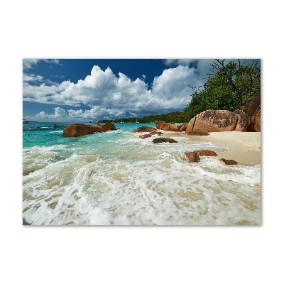 Tableau sur verre acrylique Plage des Seychelles