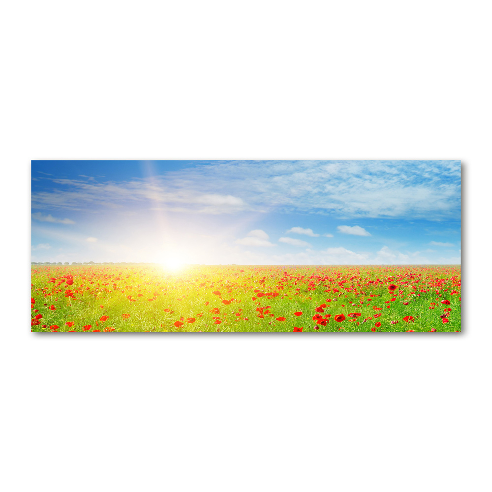 Acrylique tableau Champ de coquelicots