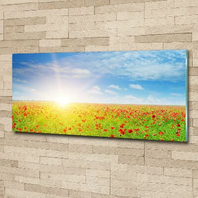 Acrylique tableau Champ de coquelicots