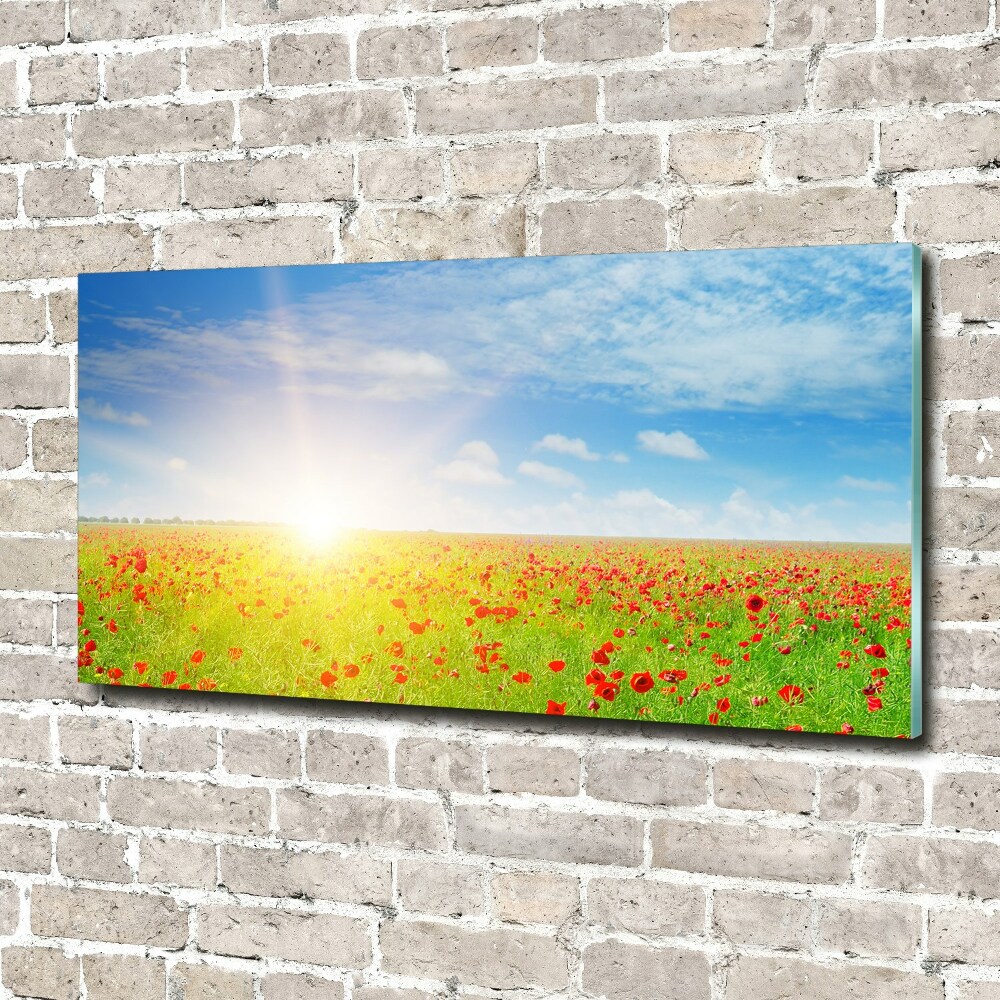 Acrylique tableau Champ de coquelicots