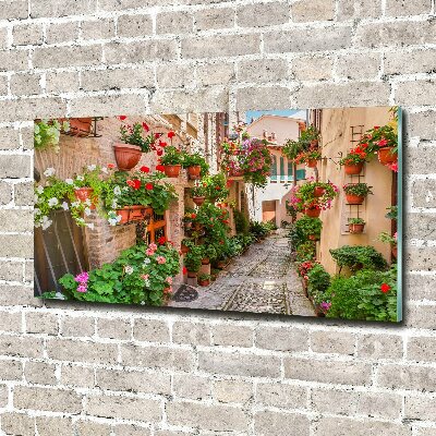 Tableau acrylique Rues italiennes