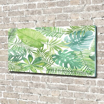 Tableau sur verre acrylique Feuilles vertes tropicales