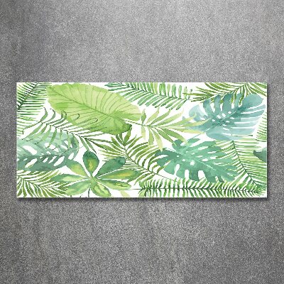 Tableau sur verre acrylique Feuilles vertes tropicales