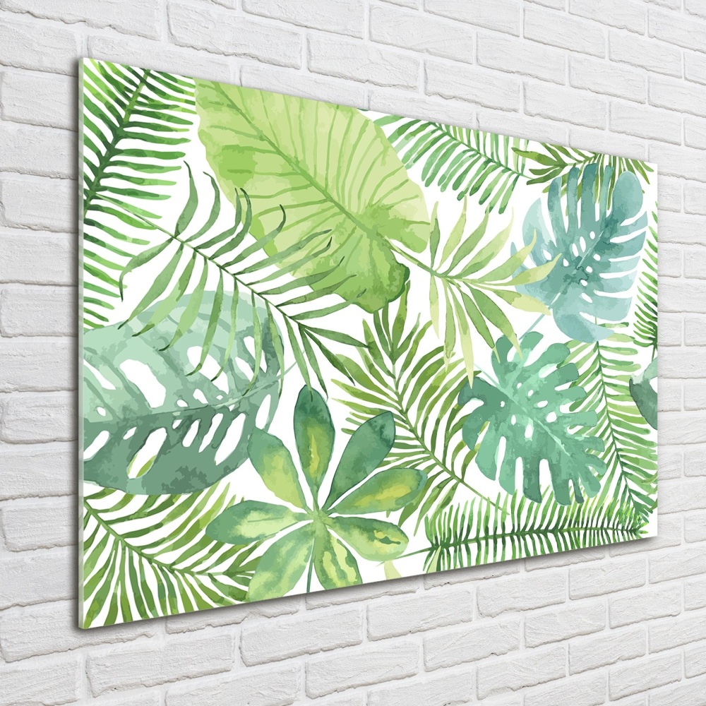 Tableau sur verre acrylique Feuilles vertes tropicales