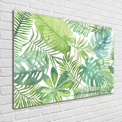 Tableau sur verre acrylique Feuilles vertes tropicales