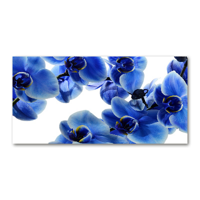 Tableau verre acrylique Orchidée bleue