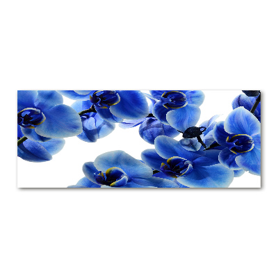 Tableau verre acrylique Orchidée bleue